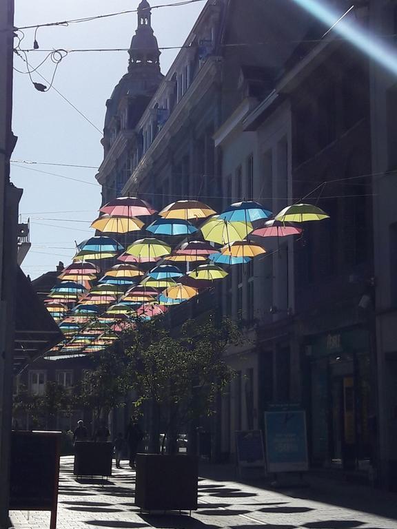 Lille Centre Ville, Beaux Arts Et Grand Palais, Bienvenue Chez Nestyou Lilla Esterno foto