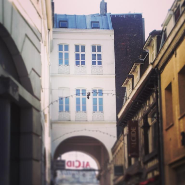Lille Centre Ville, Beaux Arts Et Grand Palais, Bienvenue Chez Nestyou Lilla Esterno foto